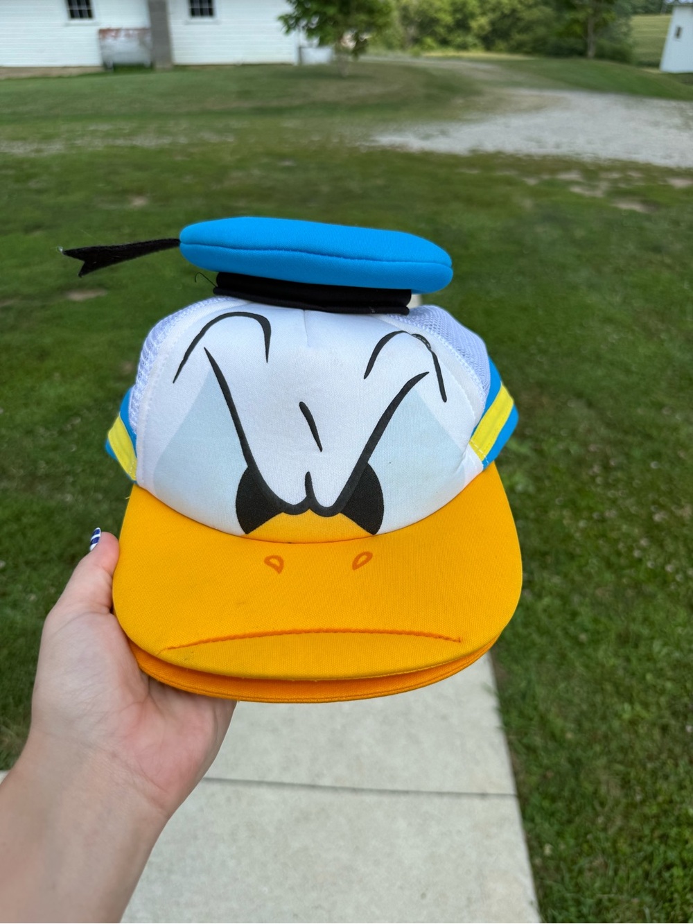 Disney Character Donald Duck Snapback Hat